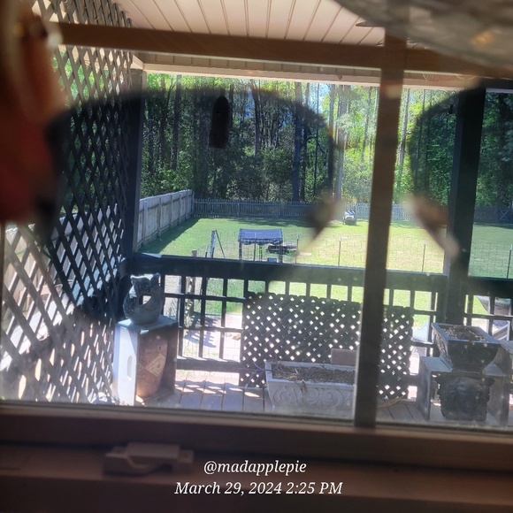 Tiffany & Co TF3052 Aviator Crystal Polorized Sunglasses Designer Luxury #60 - Picture 14 of 16